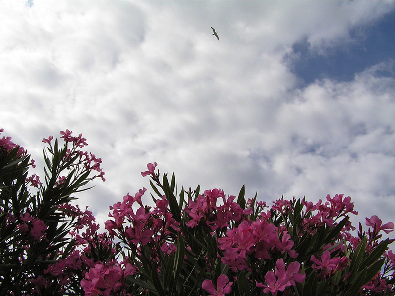 photo "The sky of Croatia." tags: landscape, travel, Europe, clouds