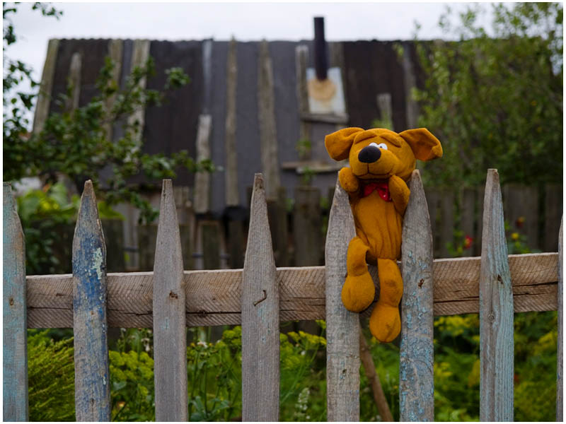 photo "In the village or forgotten toy" tags: fragment, 