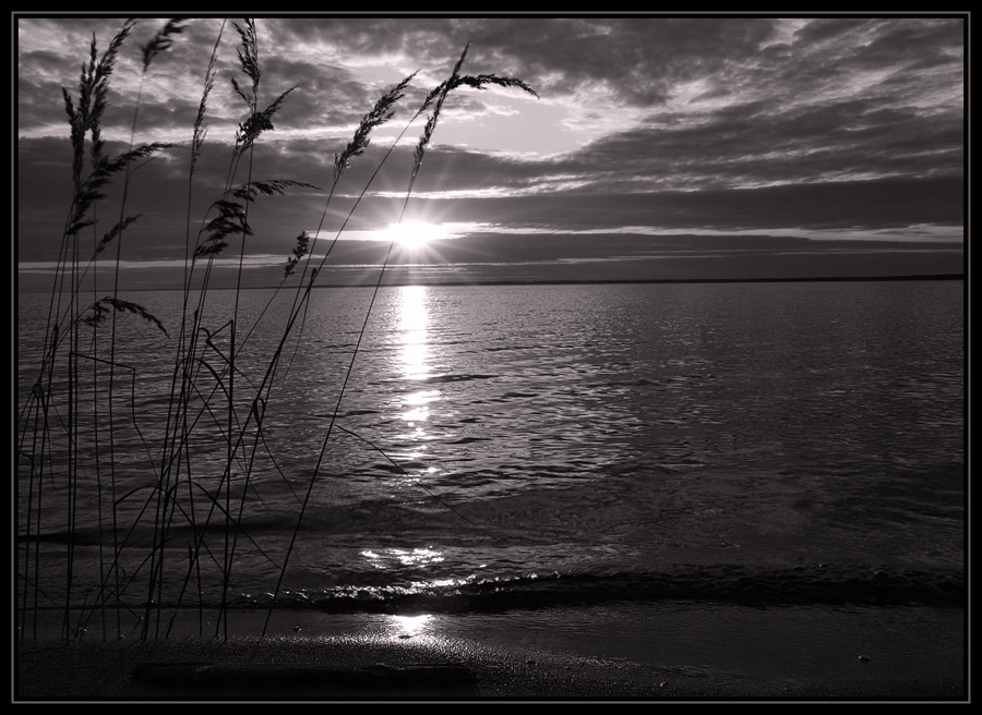 photo "***" tags: landscape, black&white, sunset