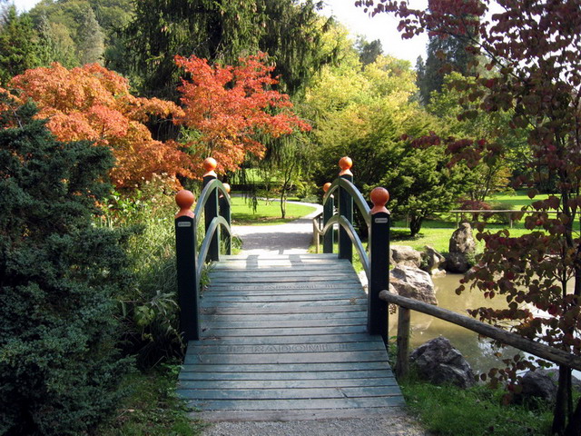фото "Arboretum" метки: пейзаж, осень