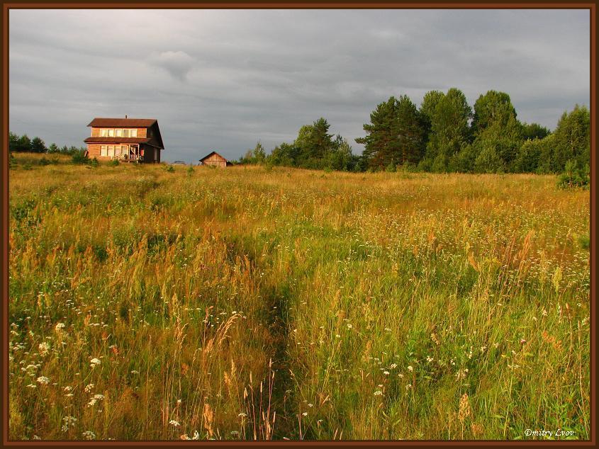 photo "Whisper of freedom" tags: landscape, summer