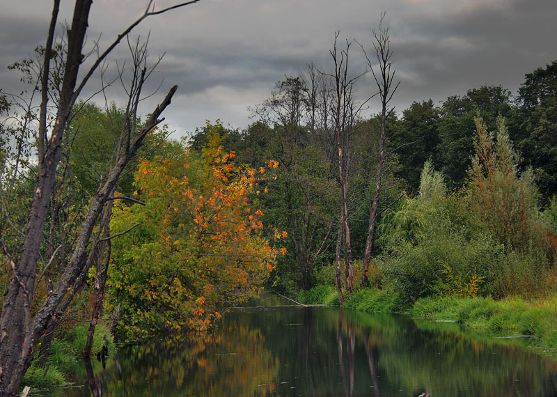 photo "***" tags: landscape, forest, water