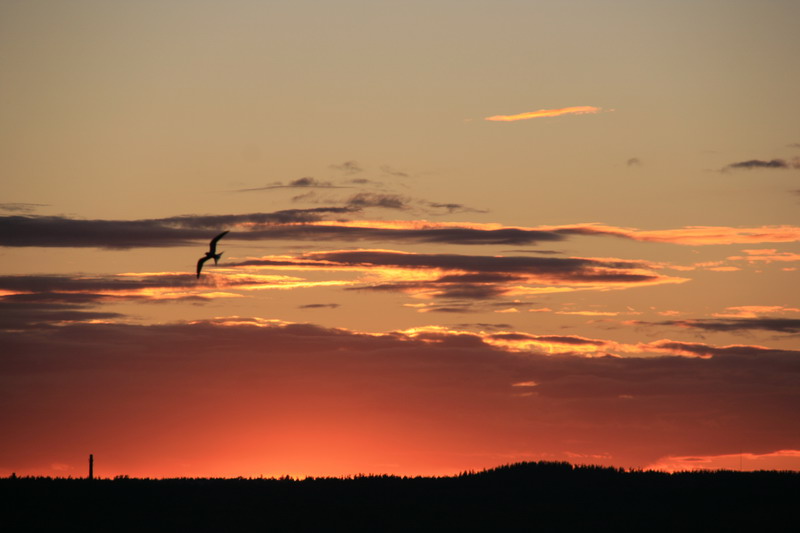 photo "***" tags: landscape, sunset