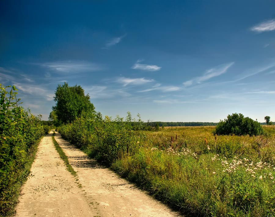 фото "Летняя" метки: пейзаж, лето