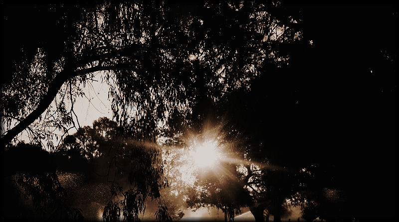 photo "Sepia Sunrise" tags: landscape, sunset