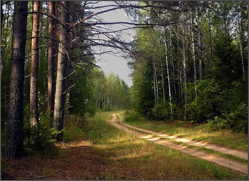 фото "Солнечный перекресток" метки: пейзаж, осень