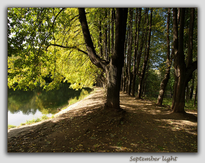 фото "September light" метки: пейзаж, лес
