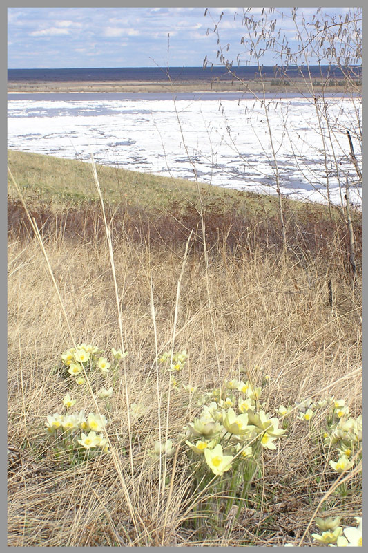 photo "***" tags: landscape, spring