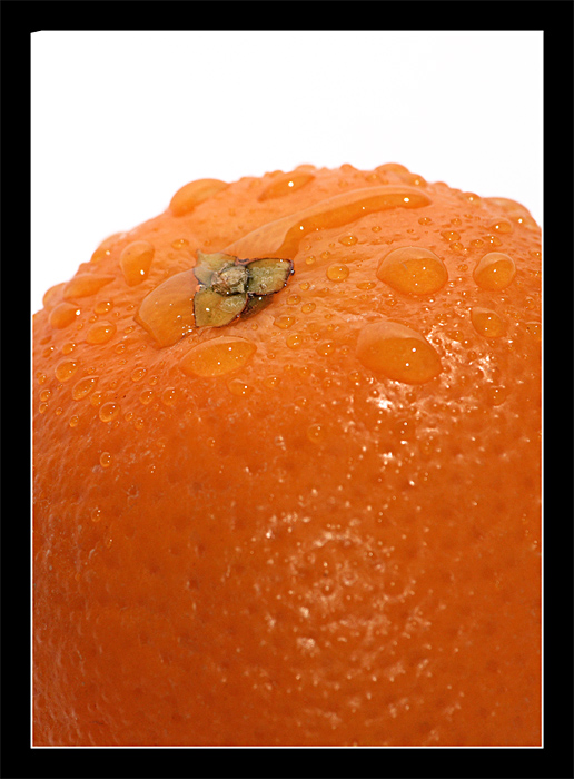 photo "Orange" tags: macro and close-up, 