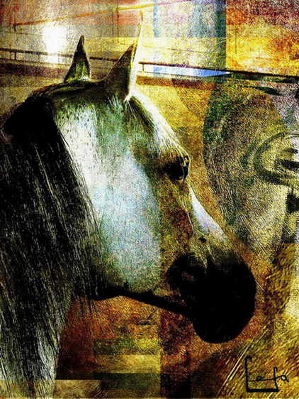 фото "arabian horse" метки: фотомонтаж, природа, домашние животные