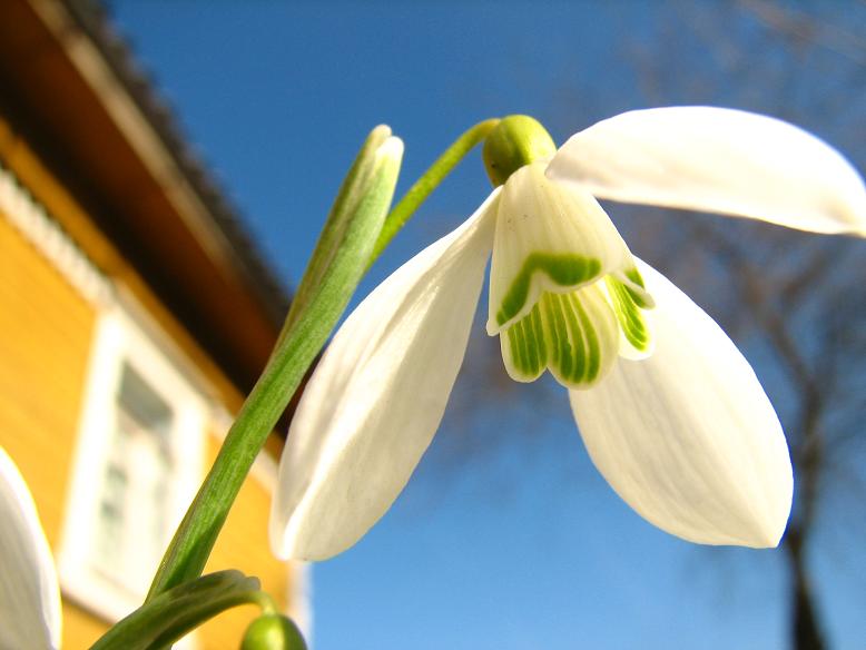 photo "***" tags: landscape, spring