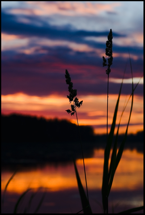 photo "***" tags: landscape, sunset
