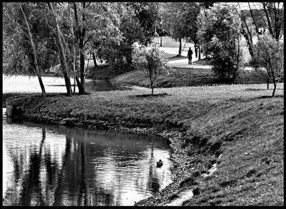 photo "BW mood" tags: black&white, 