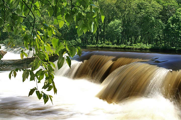 фото "Preserve" метки: пейзаж, вода