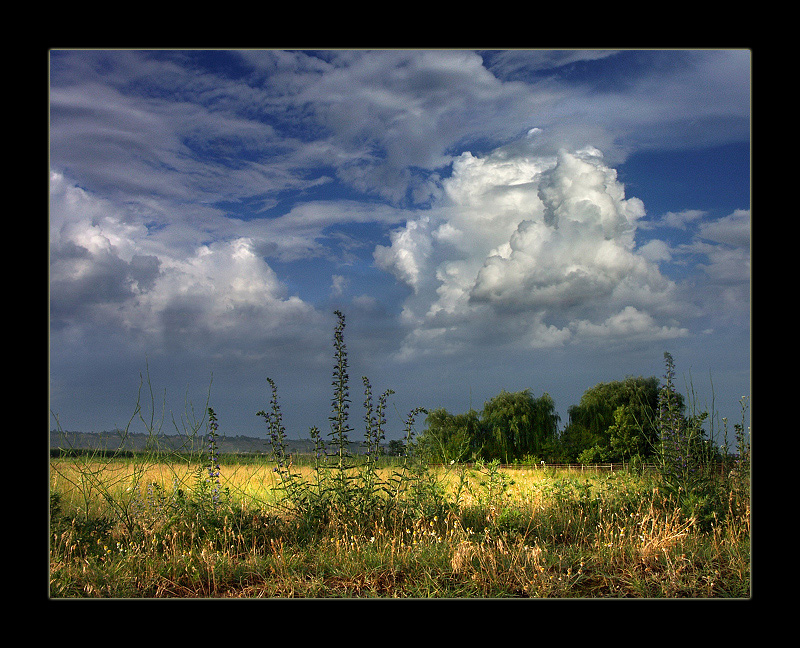 photo "***" tags: landscape, clouds, summer