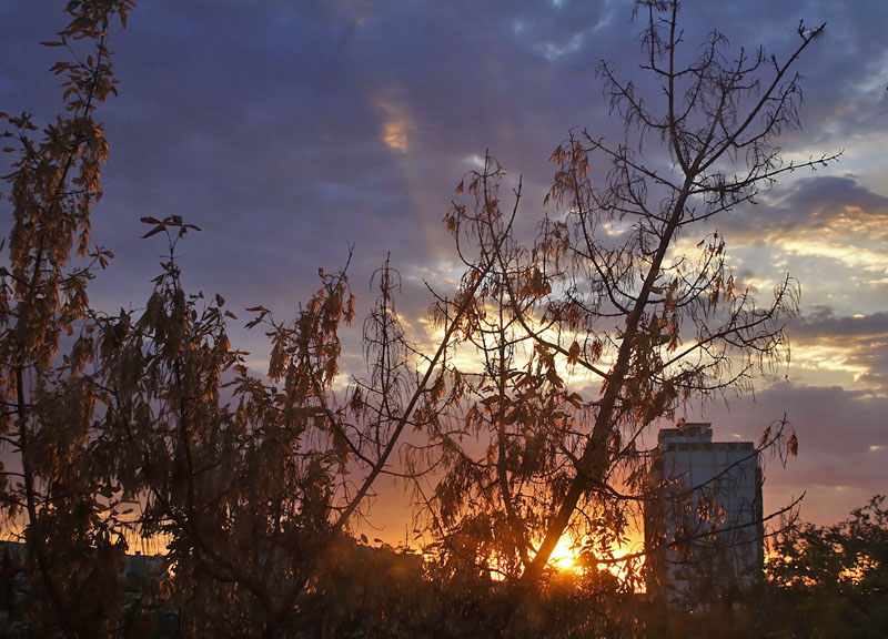 photo "***" tags: landscape, autumn