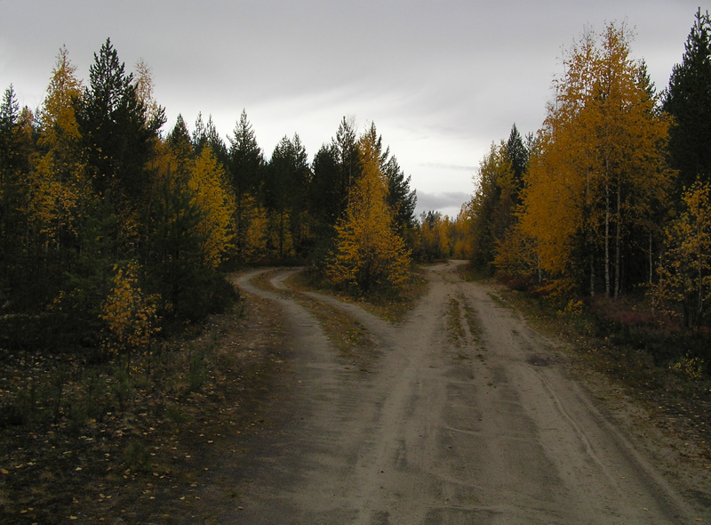 photo "A crossroads in the autumn forests" tags: landscape, autumn, forest