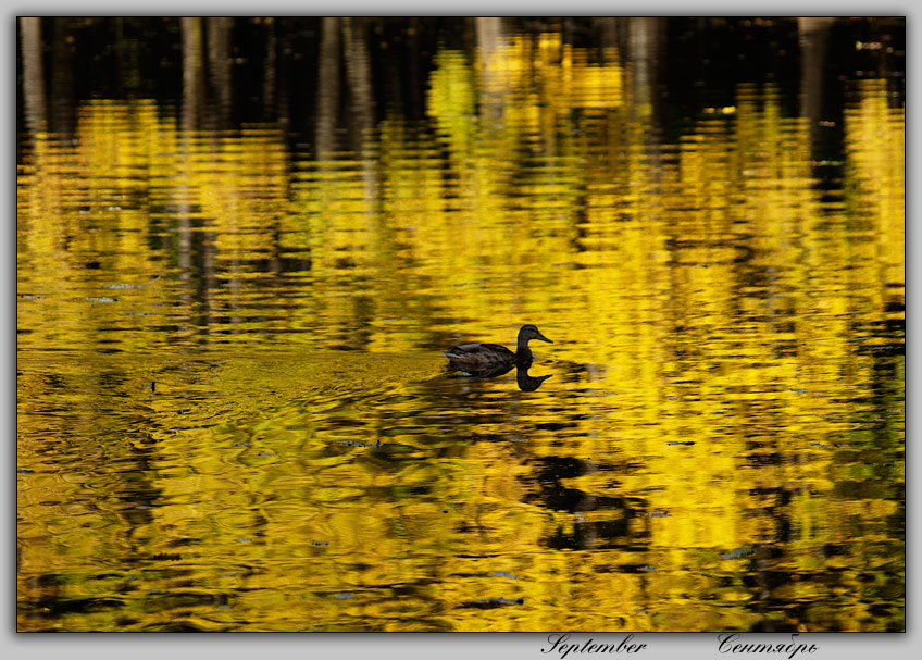 photo "September" tags: landscape, autumn, water