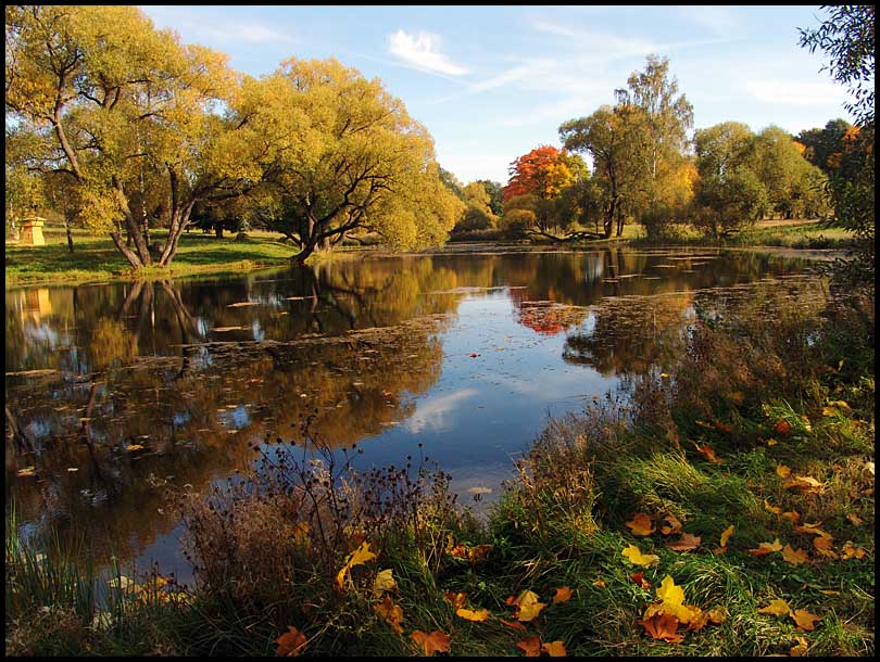 photo "Gold fall" tags: landscape, autumn