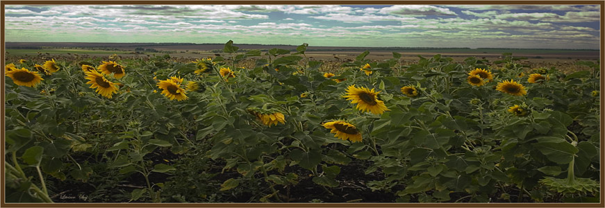 photo "***" tags: landscape, summer
