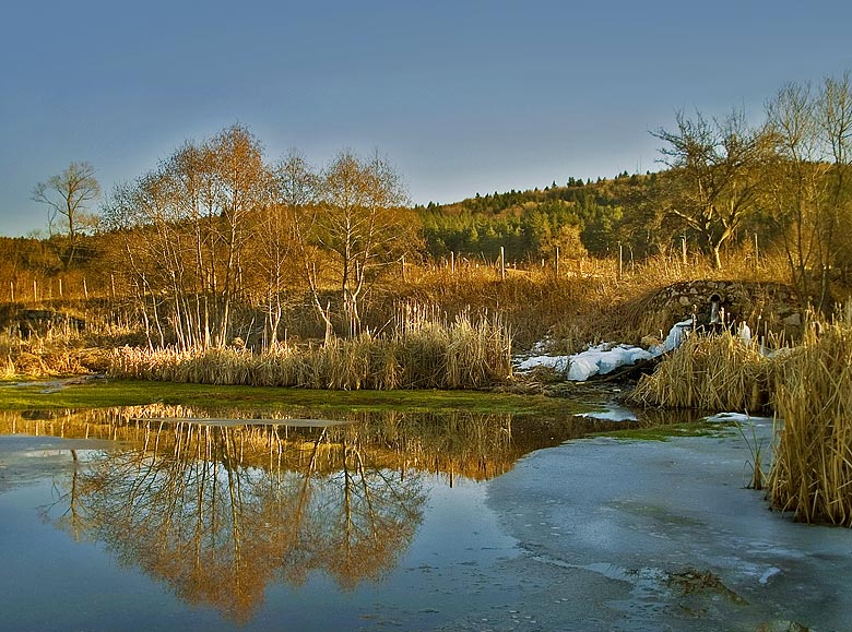 photo "One ddifferent winter" tags: landscape, water, winter