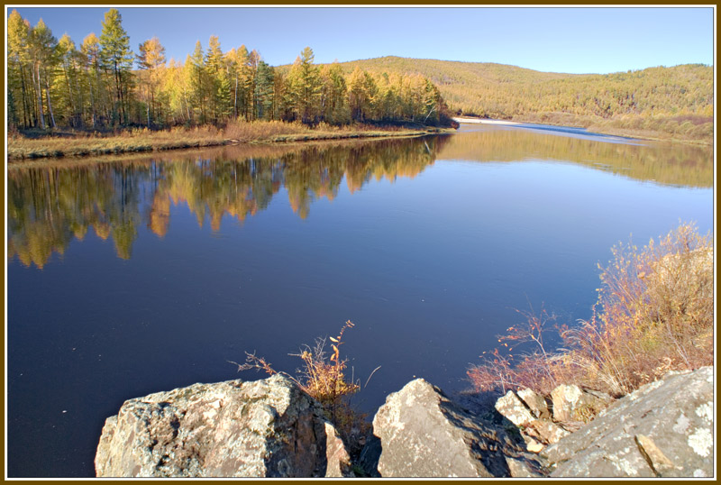 photo "Yellow forest..." tags: landscape, autumn, water