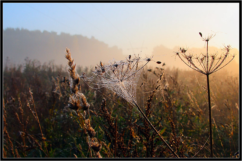 фото "*" метки: пейзаж, закат