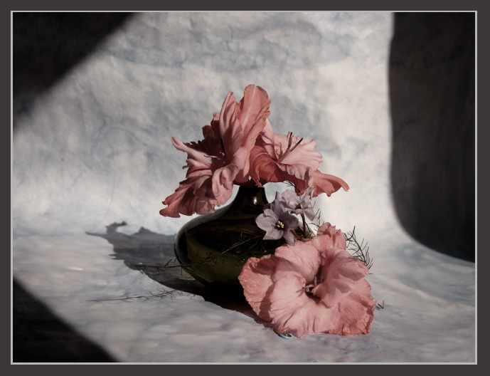 photo "***" tags: still life, 