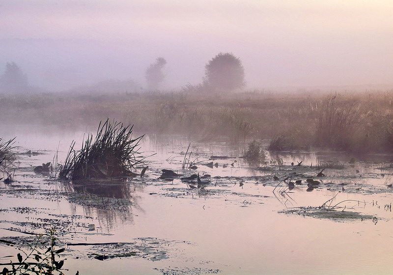 photo "***" tags: landscape, sunset