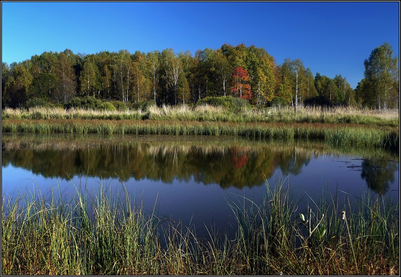 фото "Лесное озеро" метки: пейзаж, осень