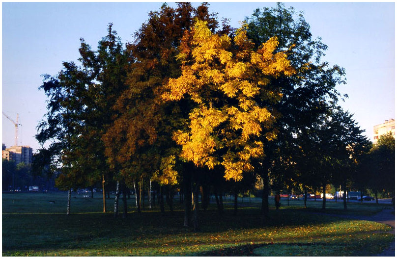 photo "***" tags: landscape, autumn