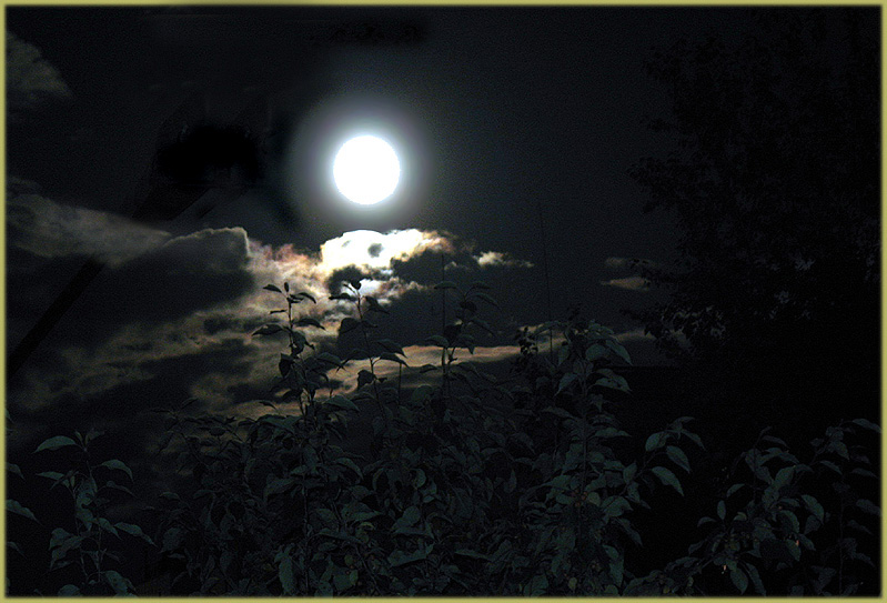 photo "Friday 13, full moon" tags: nature, 