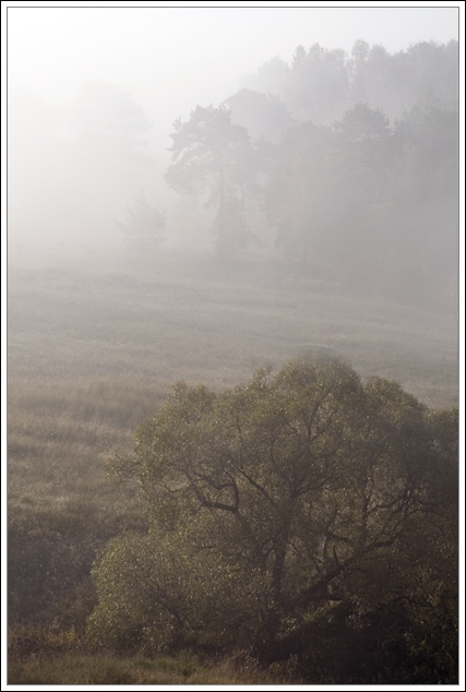 photo "morning fog" tags: landscape, autumn