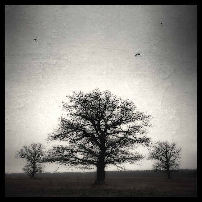 photo "3x3" tags: landscape, spring