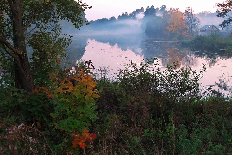фото "Осеннетуманная" метки: пейзаж, вода, осень