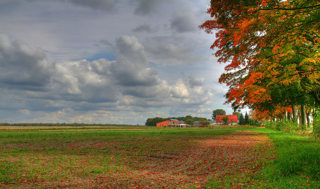 photo "fall" tags: landscape, autumn, clouds