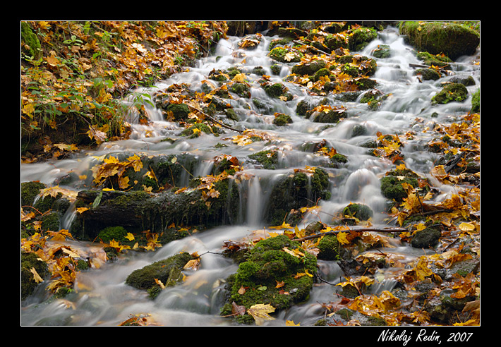 photo "Mood in fall" tags: landscape, forest, water