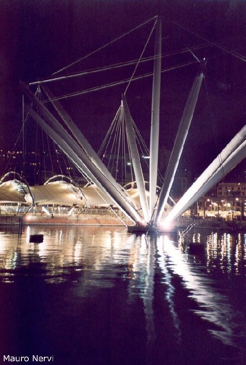 photo "the night in the port of Genoa, Italy" tags: landscape, night