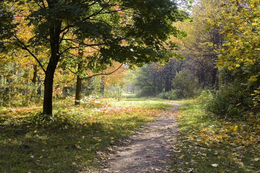 photo "Autumn" tags: landscape, nature, autumn