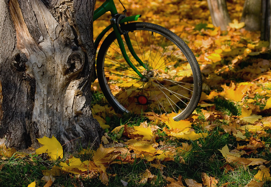 photo "Sunday walk" tags: landscape, autumn