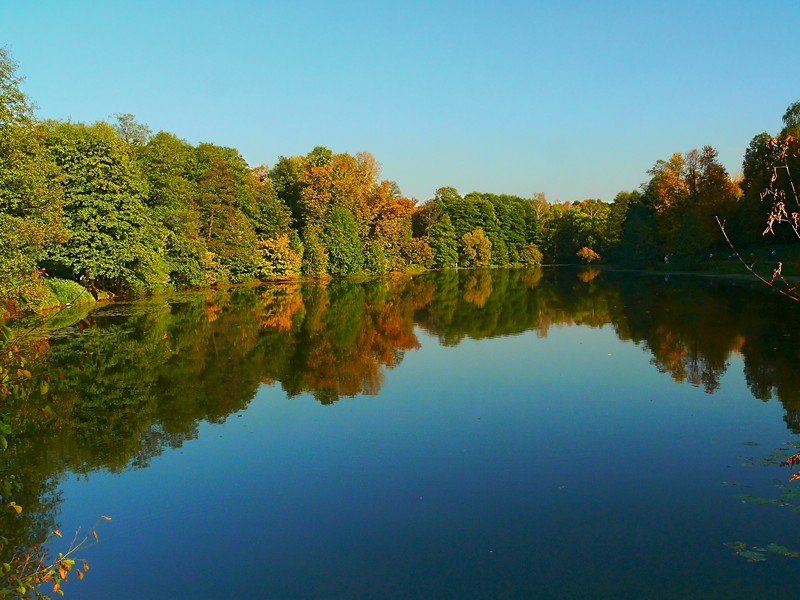 фото "Осенний этюд" метки: пейзаж, природа, осень