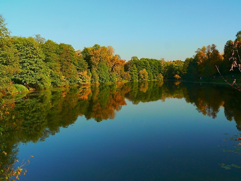 photo "***" tags: landscape, nature, autumn