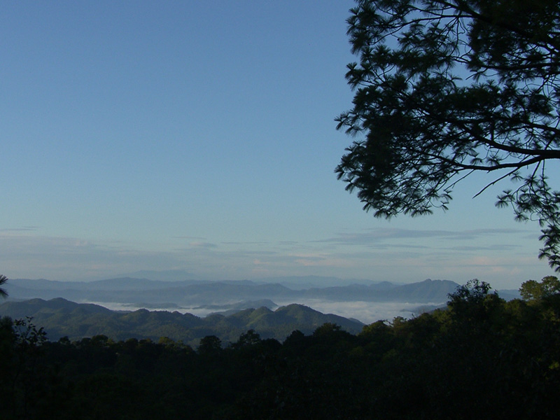 фото "Amanecer de jalisco" метки: пейзаж, лес