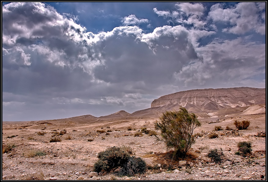 фото "Скупая прелесть пустыни" метки: пейзаж, путешествия, 