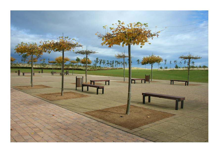 photo "Scotland, Saint Andrews, near hotel Fairmont" tags: landscape, autumn