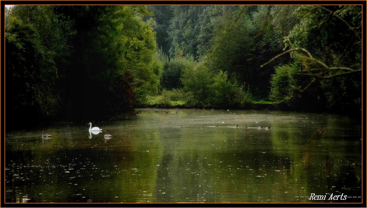 photo "peaceful place" tags: landscape, water