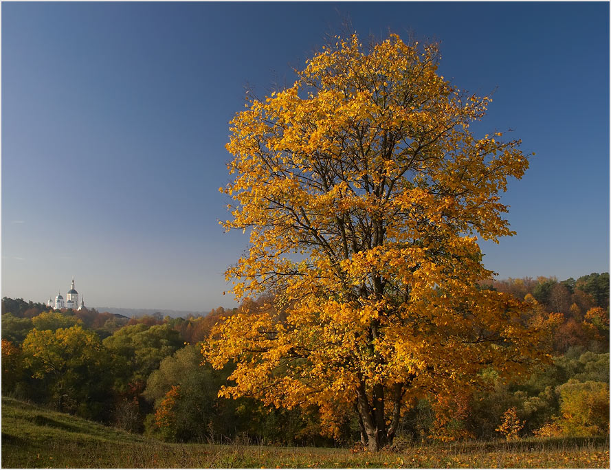 photo "Borovsk. Landscape 2." tags: landscape, autumn