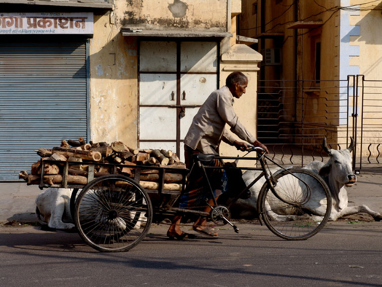 photo "***" tags: travel, Asia