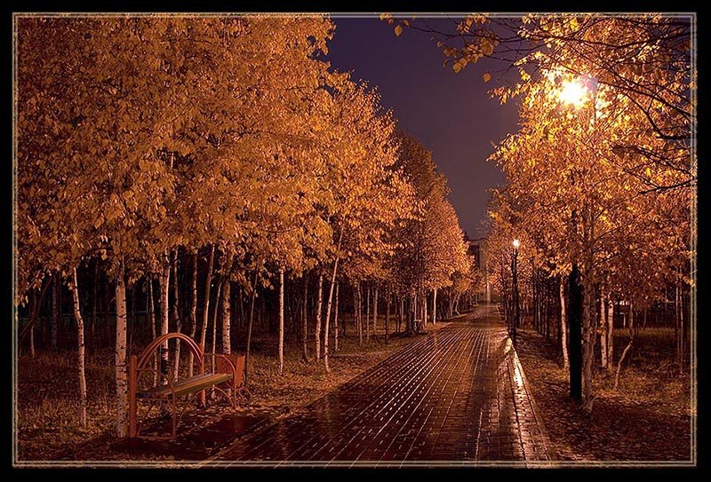 фото "Дорога в ночь" метки: город, пейзаж, лес