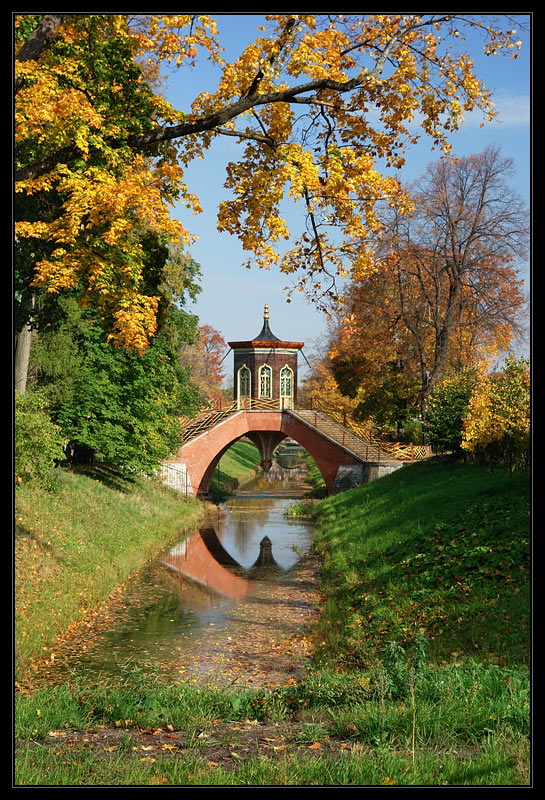 photo "Golden Autumn in Pushkin" tags: landscape, autumn